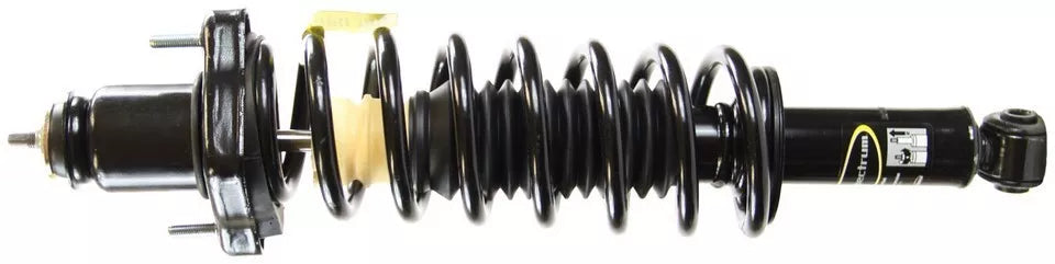 Rear Brake Rotor (2007-2014)