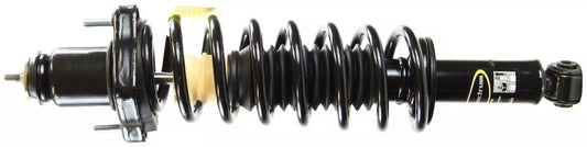 Rear Brake Rotor (2007-2014)