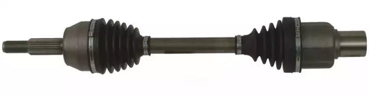 "LF & RF Strut Assembly for F Expedition, F-Series, F-250 HD & Lincoln Navigator (1997-2004)"